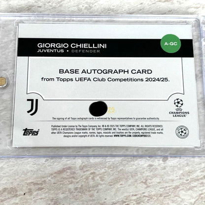 Chiellini Auto — 24/25 — Japanese