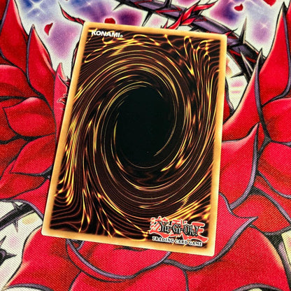 Yu-Gi-Oh Stormrider's Flash — Japanese