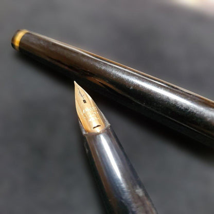 Black Pilot Elite fountain pen with resin body and gold plated accents shown with 14K586 nib