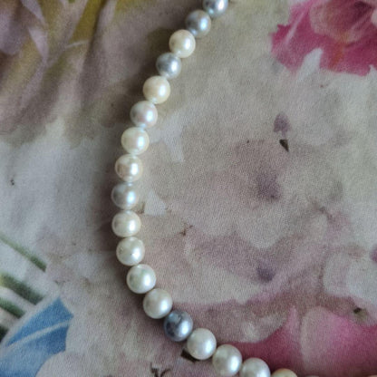 Simple Akoya pearl necklace with white and light gray pearls, 8-8.5mm size, 43cm length