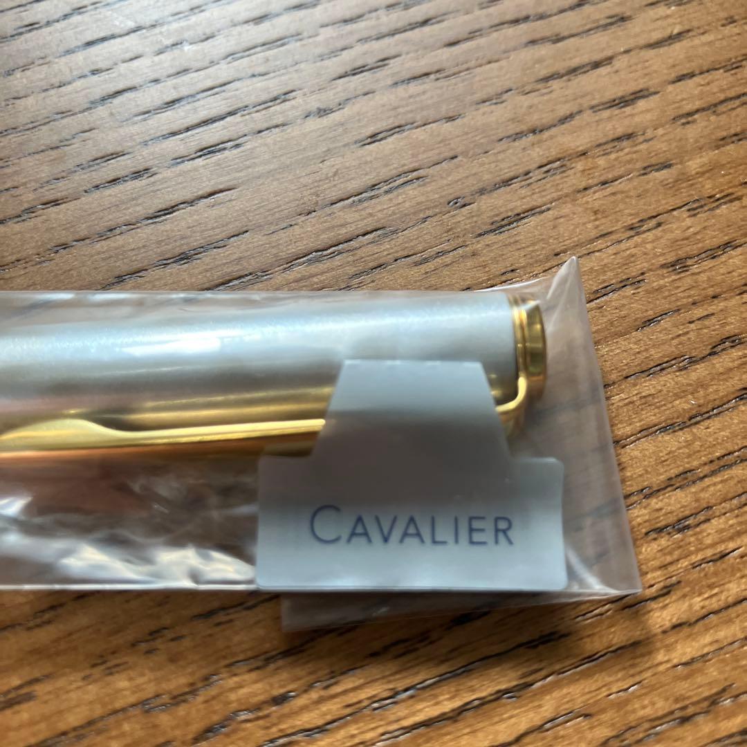 Pilot Fountain Pen Cavalieri with fine point in gold and white color, model FCAN-5SR-GDWF, new unused condition