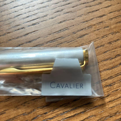 Pilot Fountain Pen Cavalieri with fine point in gold and white color, model FCAN-5SR-GDWF, new unused condition
