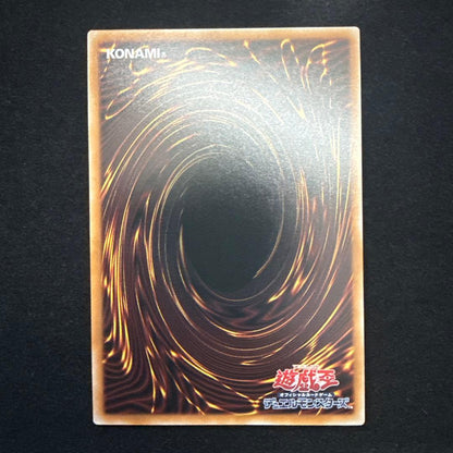 Yu-Gi-Oh Master of Dragon Mage — Japanese
