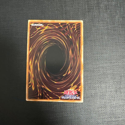 Yu-Gi-Oh Yu-Gi-Oh! the Golden Treasury of the Sealed Treasury 25 Secret — Japanese