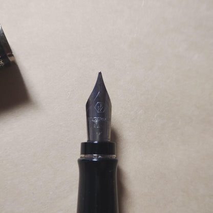 WATERMAN Expert Black Fountain Pen made of black resin with silver accents, shown capped