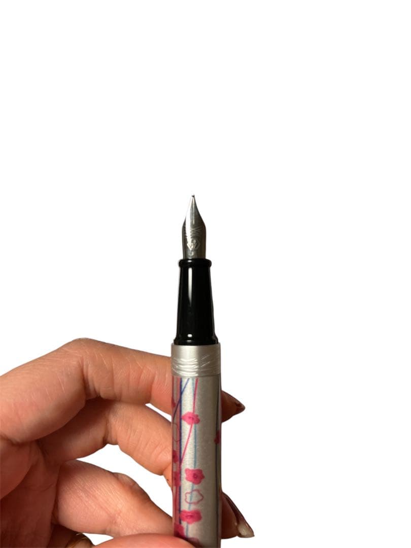 Waterman W262213 Hémisphère Fountain Pen with silver and blue flower pattern and stainless steel tip