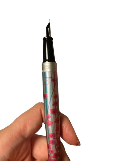 Waterman W262213 Hémisphère Fountain Pen with silver and blue flower pattern and stainless steel tip