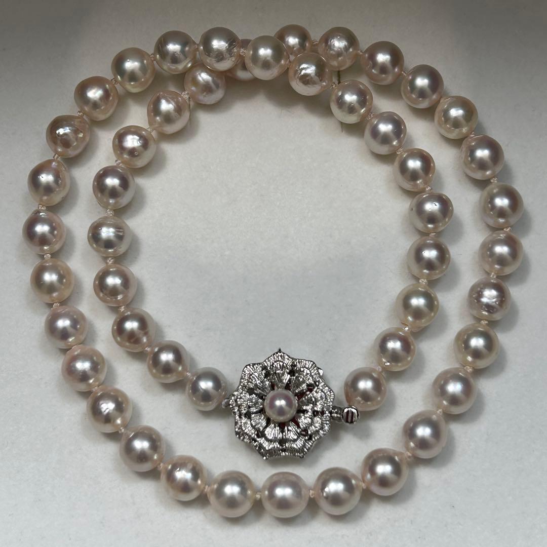Large Akoya Pearl Necklace with 8.5mm pearls, 49cm length, on sterling silver chain