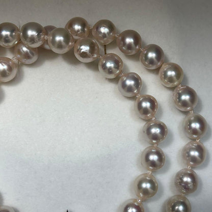 Large Akoya Pearl Necklace with 8.5mm pearls, 49cm length, on sterling silver chain
