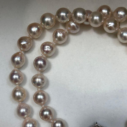 Large Akoya Pearl Necklace with 8.5mm pearls, 49cm length, on sterling silver chain
