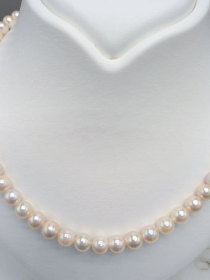 Akoya Genuine Pearl Necklace 6.5-7mm White Pink pearls with silver clasp, 42.3cm length