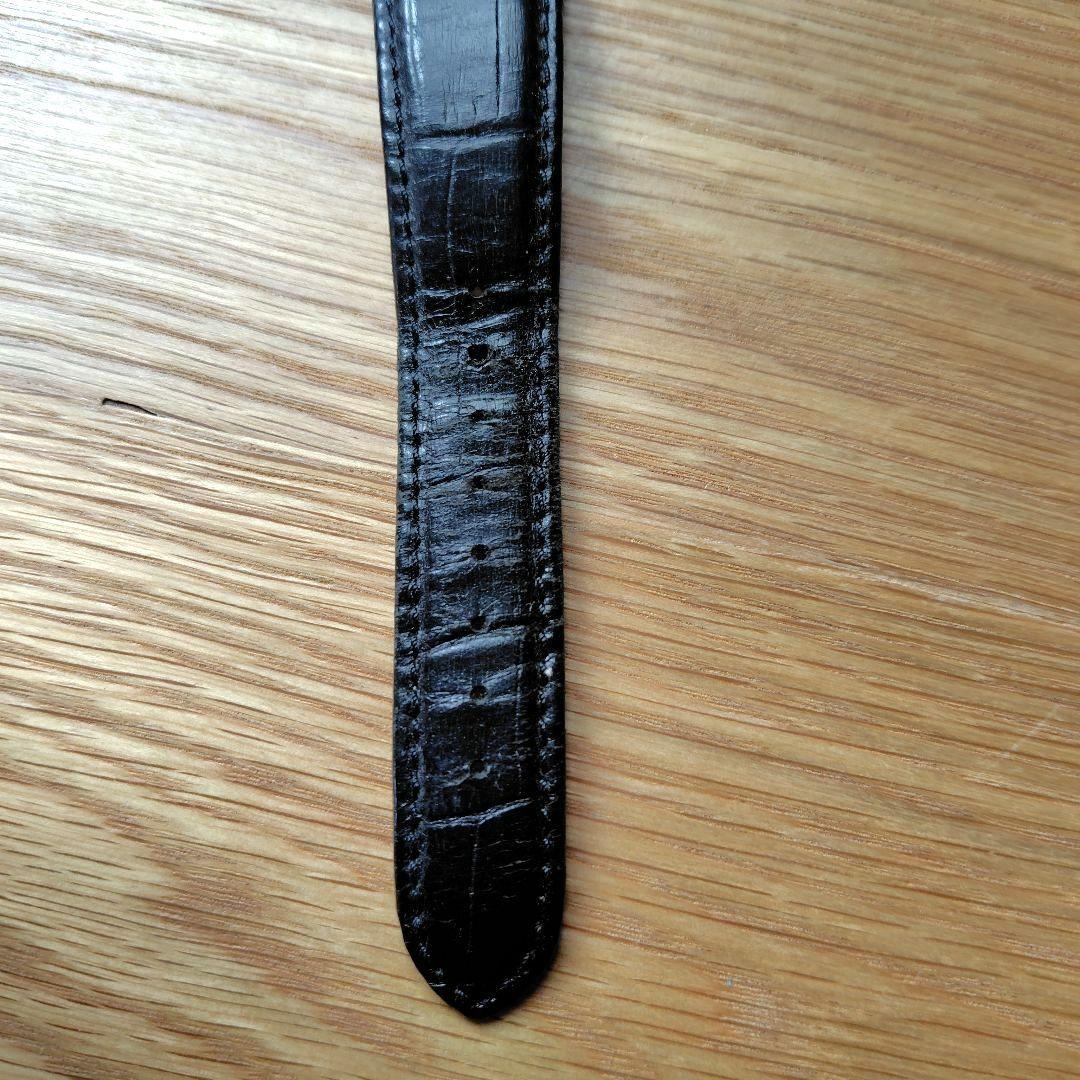 Citizen SBTR009 Solar Men's Watch — Japanese