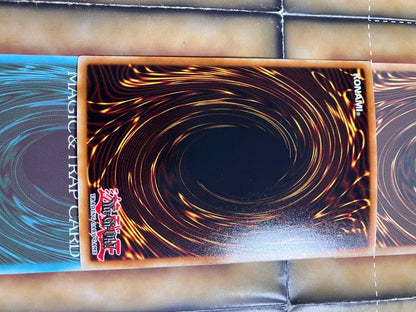 Yu-Gi-Oh Blue-Eyes White Dragon — Japanese