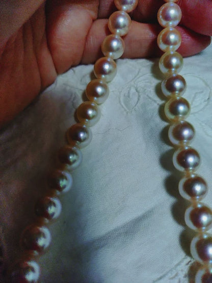 Akoya pearl necklace featuring large 8.5-9mm pink tone pearls with good luster displayed with Mitsukoshi case