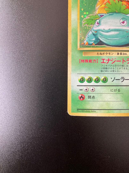 Pokemon Venusaur R/★ — PMCG First Edition Expansion Pack — Japanese