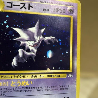 Pokemon Haunter — Japanese