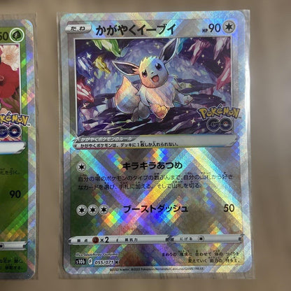Pokemon Blastoise — Japanese