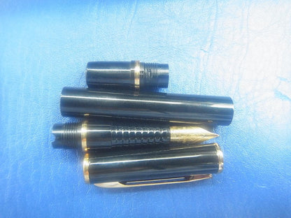 Black WATERMAN fountain pen with sleek design shown on neutral background