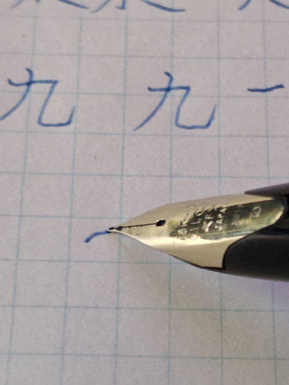 PILOT CUSTOM 18K-WG Fountain Pen Model H872 with fine tip and stripe pattern in used condition