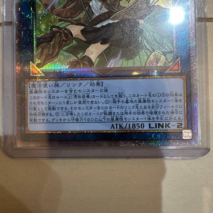 Yu-Gi-Oh Wynn the Wind Charmer — Japanese