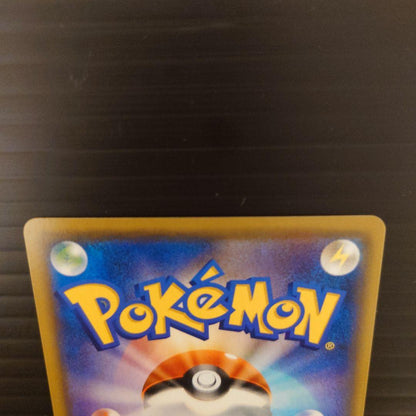 Pokemon Maurice & Sui Lin SR — SM Expansion Pack Alter Genesis 107/095 — Japanese