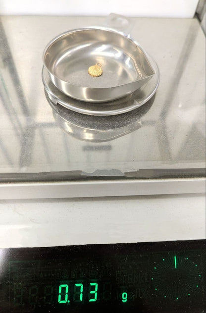agete K10 shell motif charm with pearl, size about 1 cm, without bail, in gold finish