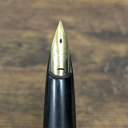 Pilot Fountain Pen E-200 with 14K gold nib and SUPER-V type cap showing scratches and marks