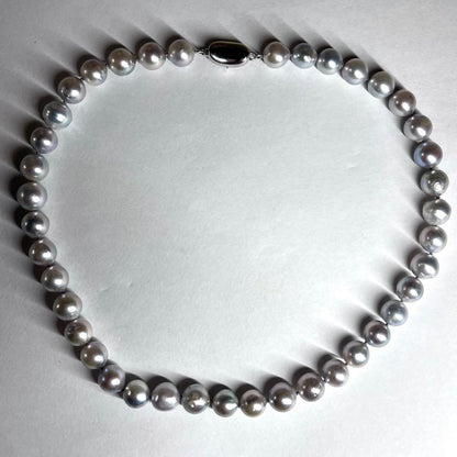 Akoya pearl necklace with natural blue pearls sized 8.5-9.5mm on a 39cm string with certification tag