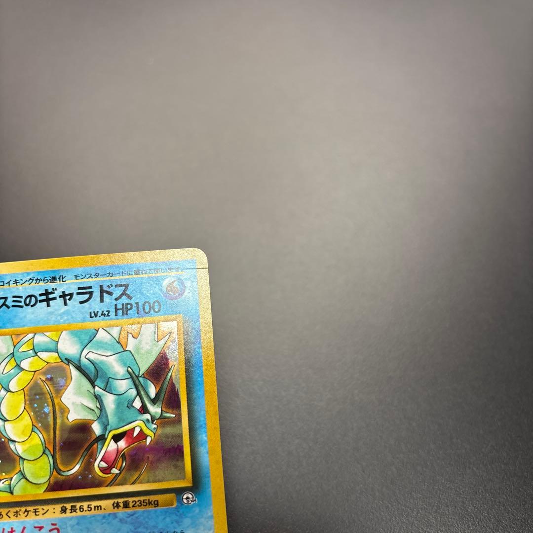 Pokemon Gyarados — Japanese