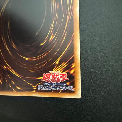 Yu-Gi-Oh Dark Paladin Dragon — Japanese