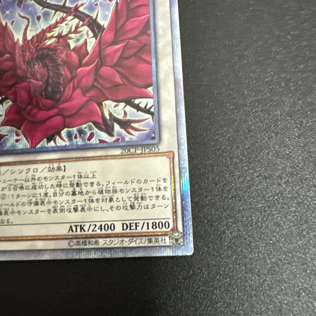 Yu-Gi-Oh Dark Paladin Dragon — Japanese