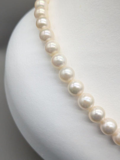 Akoya genuine white pearl necklace with 7.5-8mm pearls and silver clasp, 41.7cm long