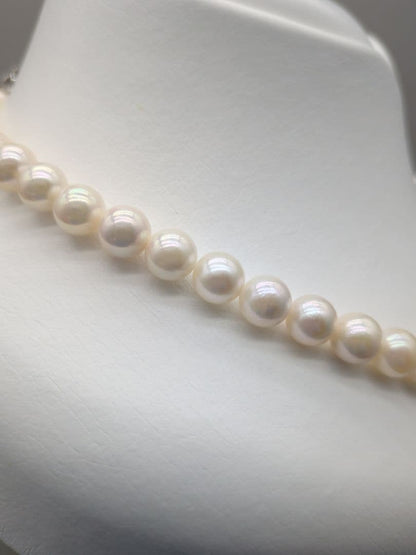 Akoya genuine white pearl necklace with 7.5-8mm pearls and silver clasp, 41.7cm long