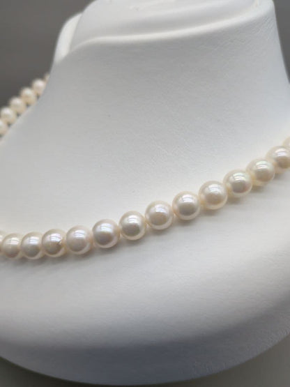 Akoya genuine white pearl necklace with 7.5-8mm pearls and silver clasp, 41.7cm long