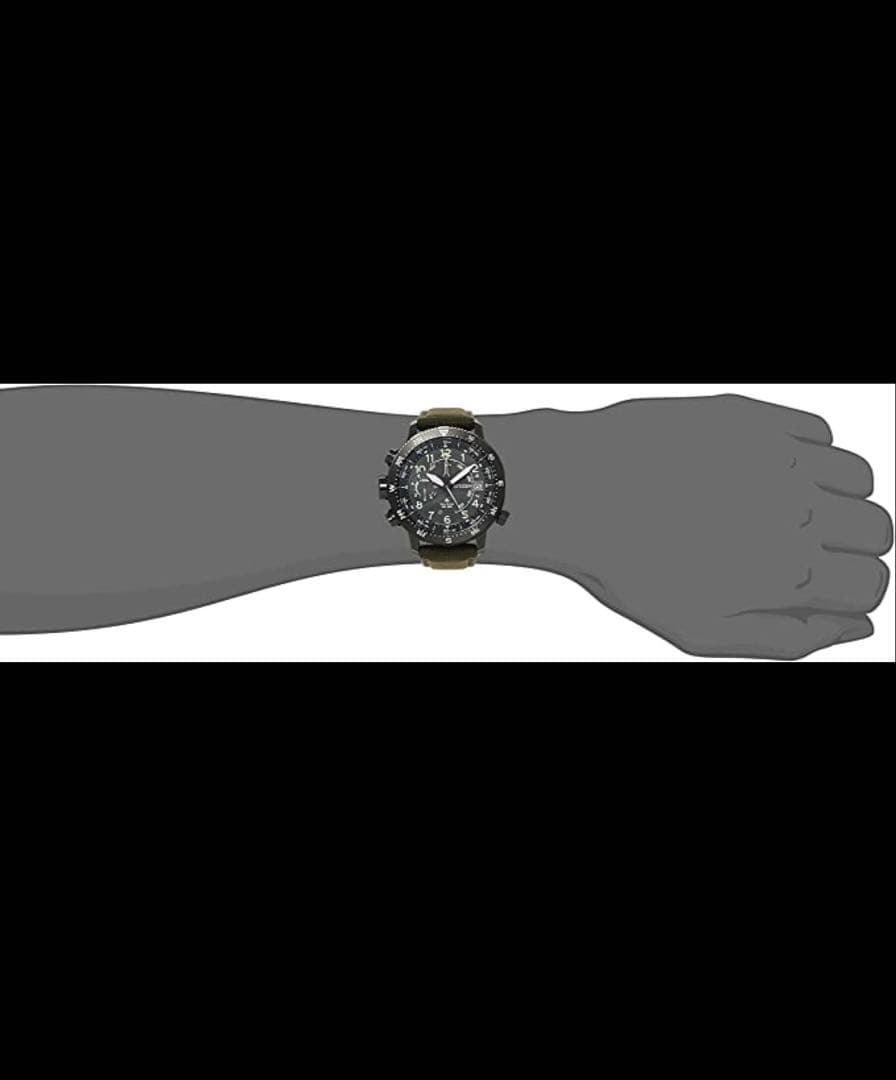 Citizen Promaster Land Solar Men's Watch — Japanese