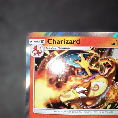 Pokemon Charizard — Japanese