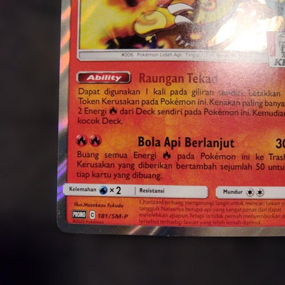 Pokemon Charizard — Japanese
