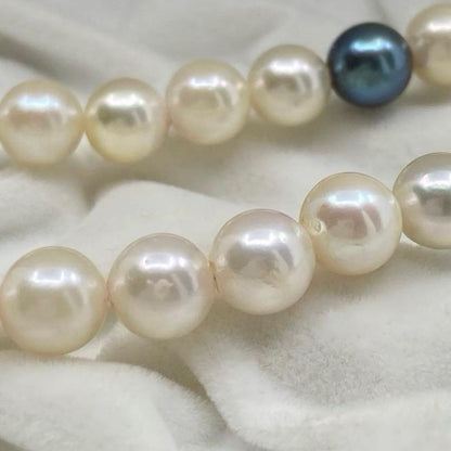 Multicolor Akoya pearl necklace with silver clasp featuring pearls from 4.0mm to 9.1mm in size