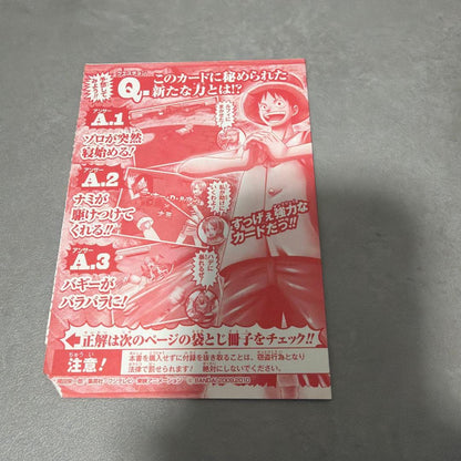 One Piece Luffy — PJ-012 — Japanese