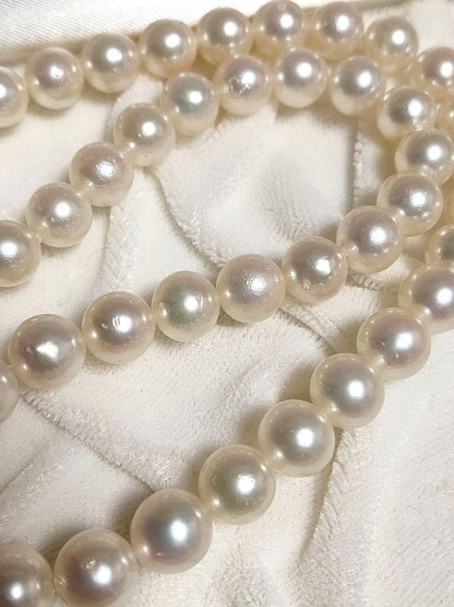Kuro Large Akoya Pearl Necklace with 8.2mm white genuine pearls on 39cm silver chain