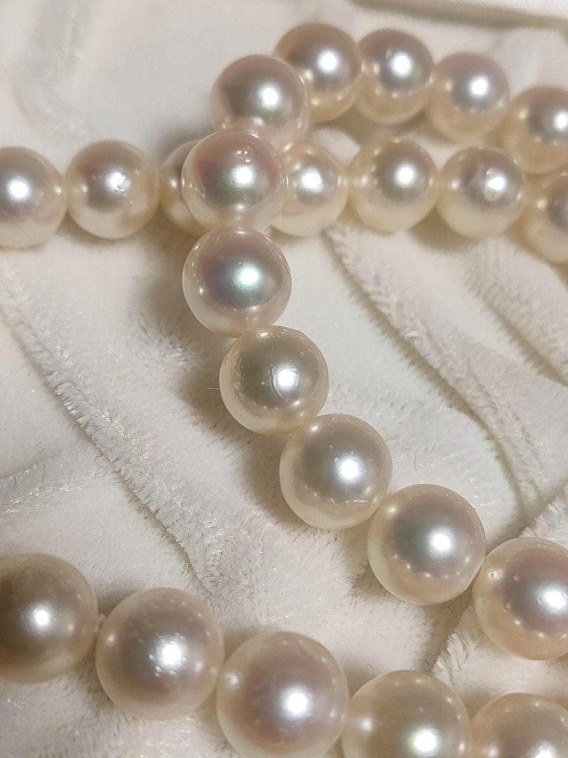 Kuro Large Akoya Pearl Necklace with 8.2mm white genuine pearls on 39cm silver chain