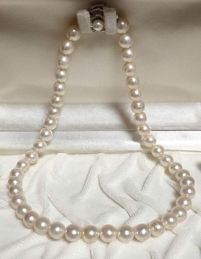 Kuro Large Akoya Pearl Necklace with 8.2mm white genuine pearls on 39cm silver chain