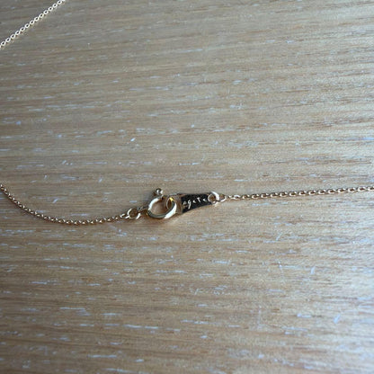 Agaat 18k gold necklace with micro-set diamonds displayed with its box