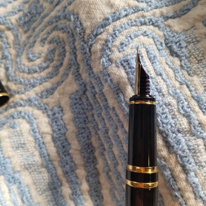 Black Pilot Fountain Pen shown with cap on, used condition