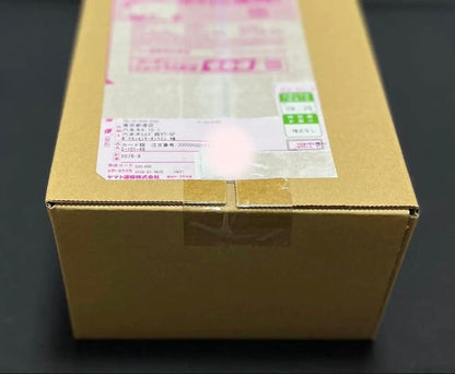 Pokemon Pokémon Card Hiroshima Fukuoka Special Box 2-Pack Set with Invoice Limited Box — Japanese