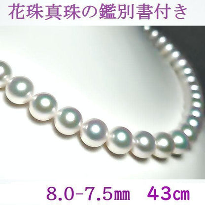 Akoya pearl necklace and matching earrings with Hanadama pearls sized 8-7.5mm on silver rhodium clasp