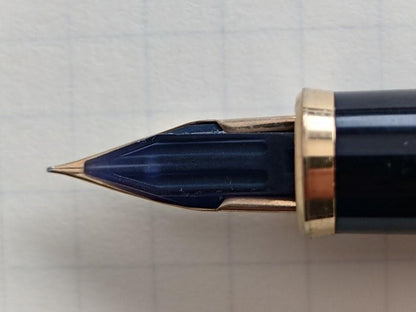 Discontinued Pilot Premio Remembrance Fountain Pen with 14K fine nib, cleaned and in excellent condition