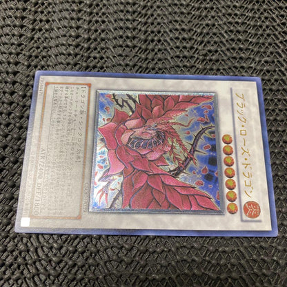 Yu-Gi-Oh Black Rose Dragon CSOC — CSOC-JP039 — Japanese