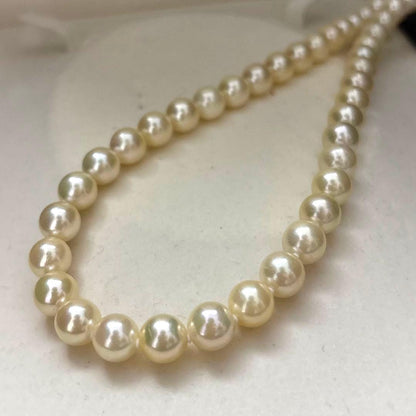 Aoya pearl necklace with 8.5mm Akoya pearls in champagne gold, 44cm length