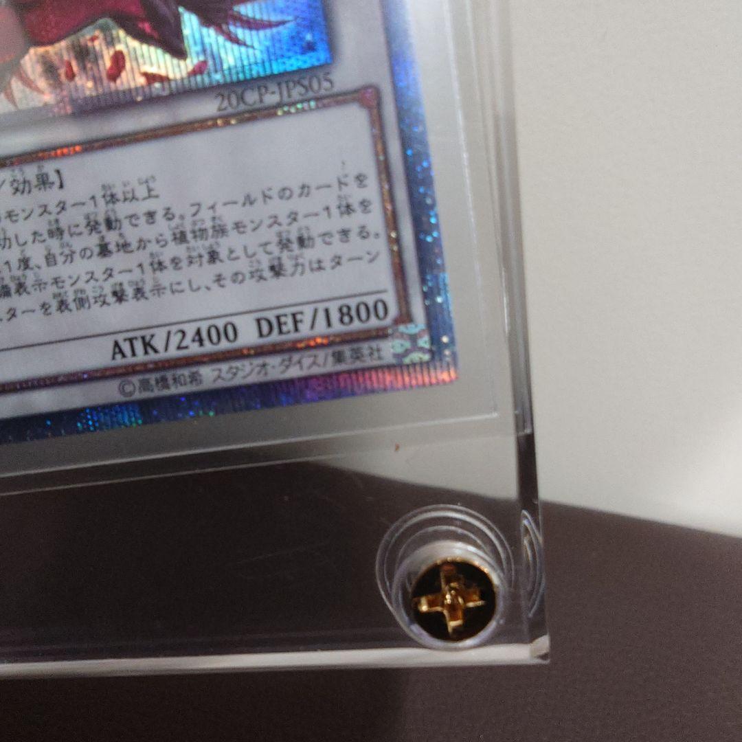 Seiko Black Rose Dragon wind attribute dragon monster card with Level 7, ATK 2400, DEF 1800 from Japan import